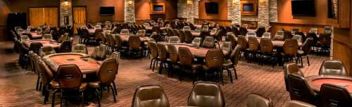 Mspt poker golden gates finding your roots